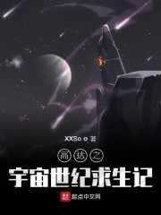 高达之宇宙世纪求生记